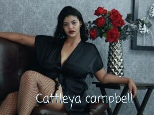 Cattleya_campbell