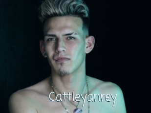 cattleyanrey Adult o Porn