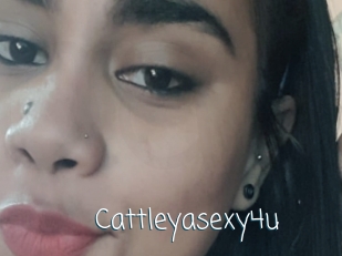 Cattleyasexy4u