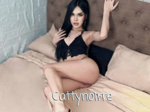 Cattynoirre