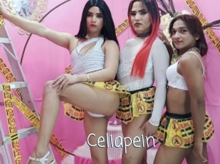 Celiapein
