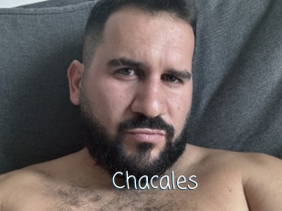 Chacales