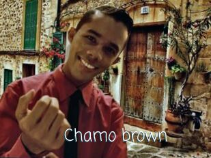 Chamo_brown