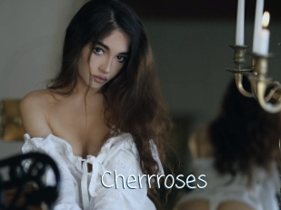 cherrroses Adult o Porn