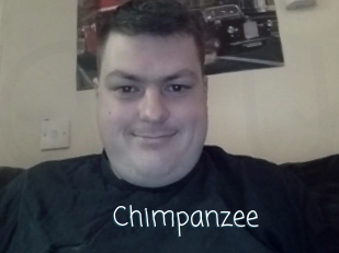 Chimpanzee