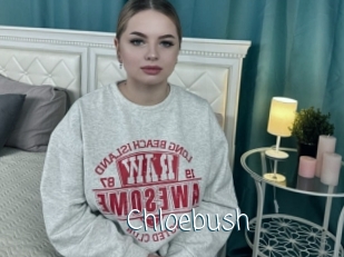 Chloebush