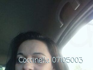 Coccinella-07105003