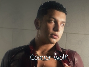 Coonor_wolf