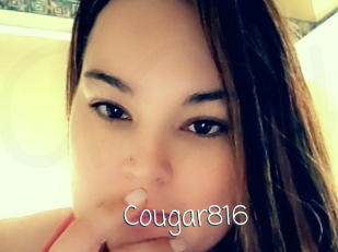 Cougar816