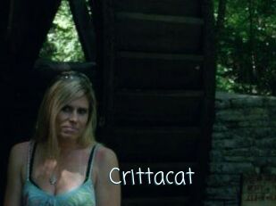 Crittacat