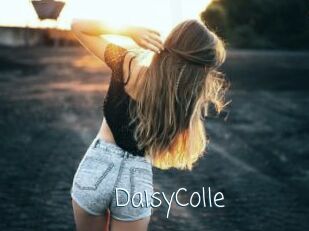 DaisyColle