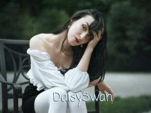 DaisySwan