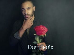 DamFenix