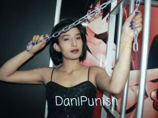 DaniPunish