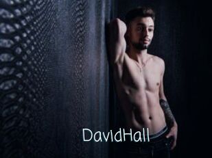 DavidHall Adult o Porn