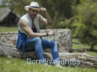 DomiinicSantos Adult o Porn