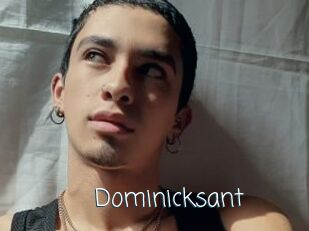 Dominicksant