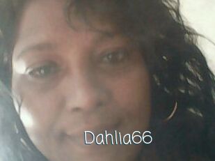 Dahlia66