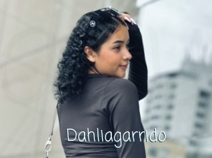 Dahliagarrido
