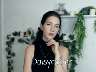 Daisycrosier