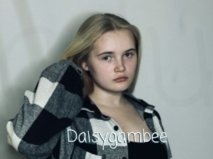 Daisygambee