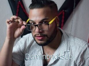 Daminbricksub