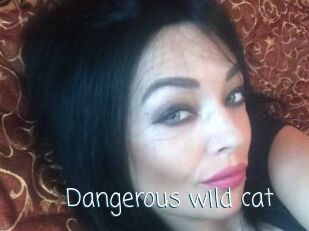 Dangerous_wild_cat