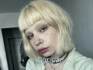 Daribins