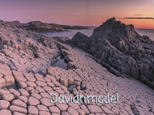 Davidhmodel