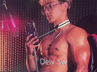 Deiv_sw