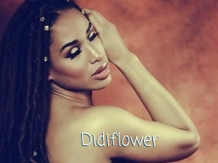 Didiflower
