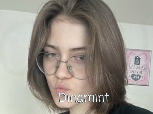 Dinamint