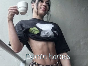 Domin_hamss