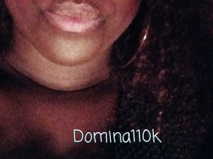 Domina110k