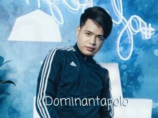 Dominantapolo