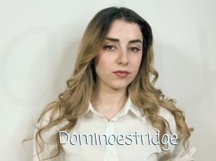 Dominoestridge