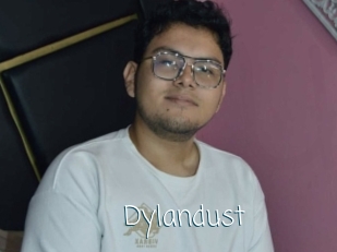 Dylandust