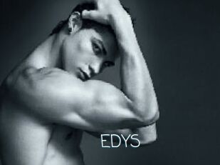 EDYS