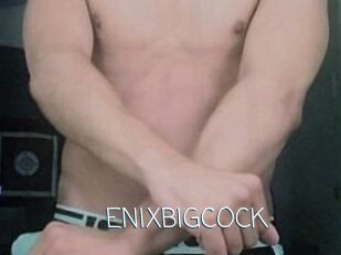 ENIXBIGCOCK