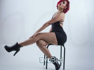EvaBird