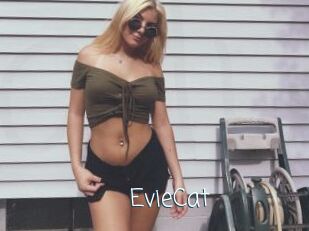 EvieCat