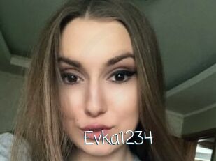 Evka1234