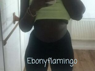 Ebony_flamingo