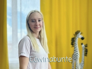 Edwinabunte