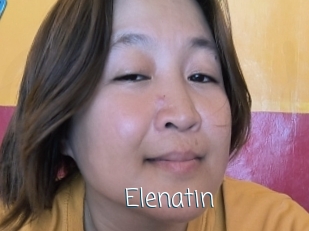 Elenatin