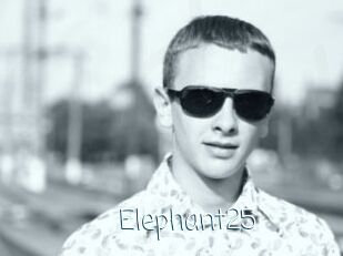 Elephant25