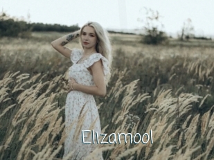 Elizamool