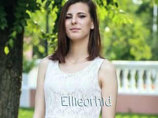 Ellieorhid