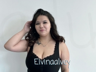 Elvinaalvey