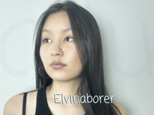 Elvinaborer